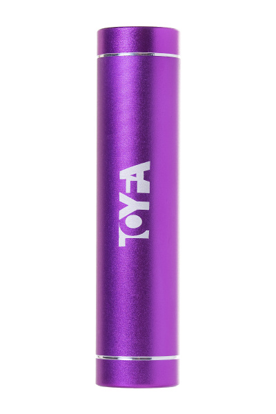 Зарядное устройство Power bank TOYFA A-Toys